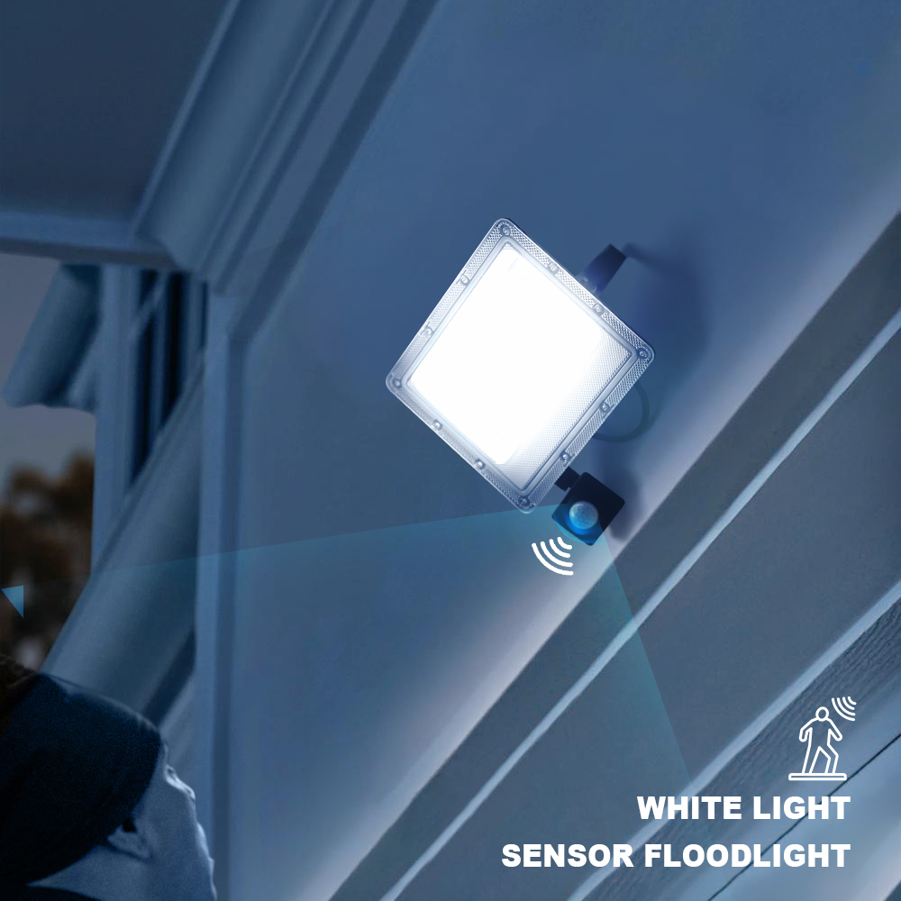 LED FloodLight PIR Motion Sens - Balance Beam Outdoor 评论和价格