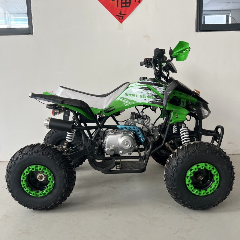 24V Battery Powered Slow Speed - Kids Outdoor Fun 评论和价格