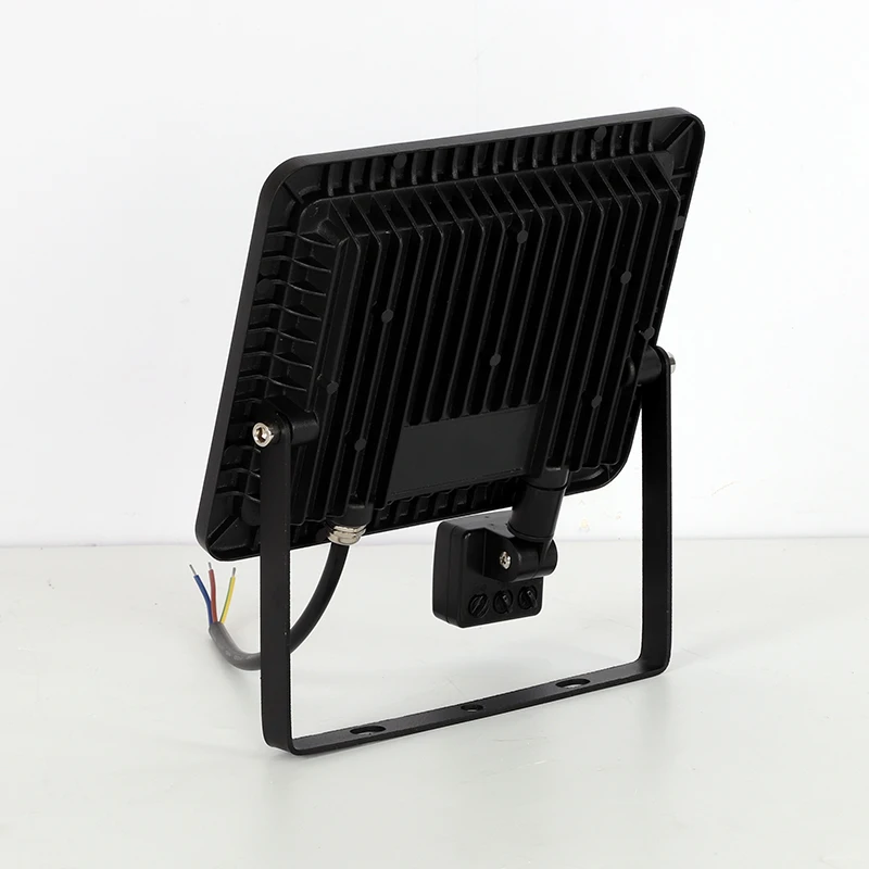 10W 20W 30W 50W 100W Induction - Balance Beam Outdoor 评论和价格