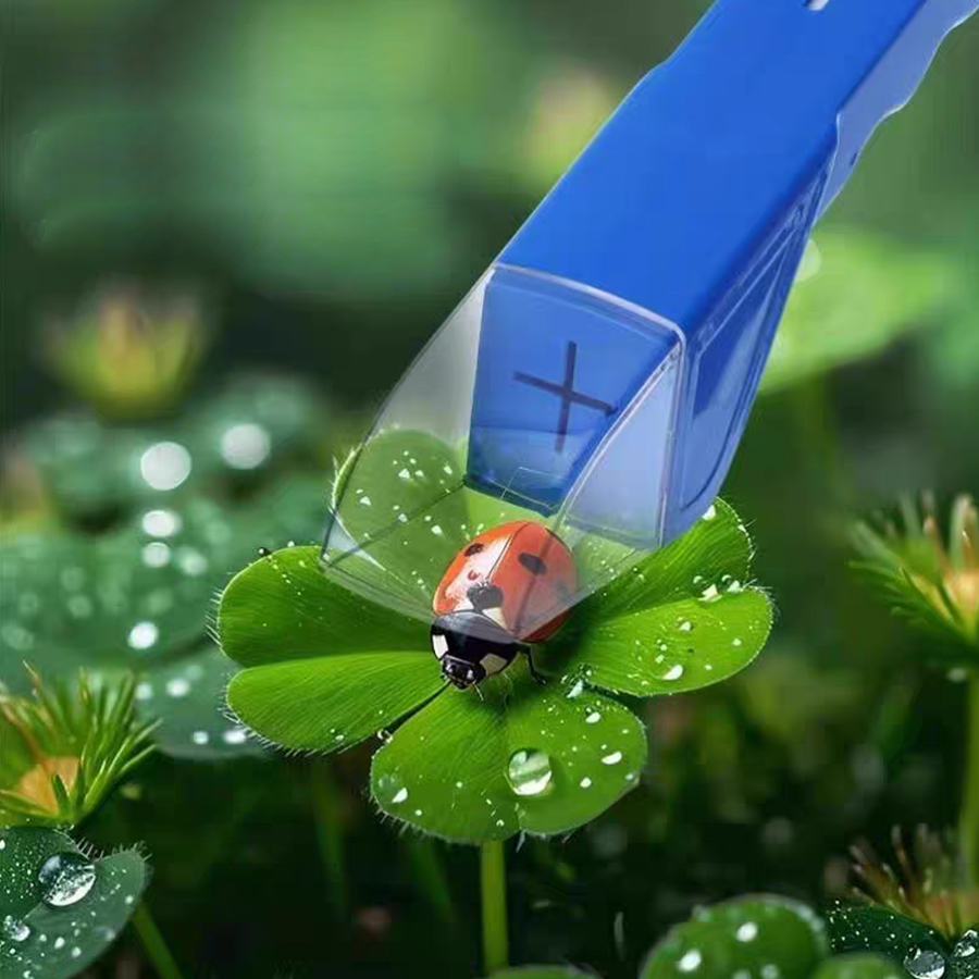Kids Insect Catcher Box Magnif - Kids Outdoor Nature Toys 评论和价格